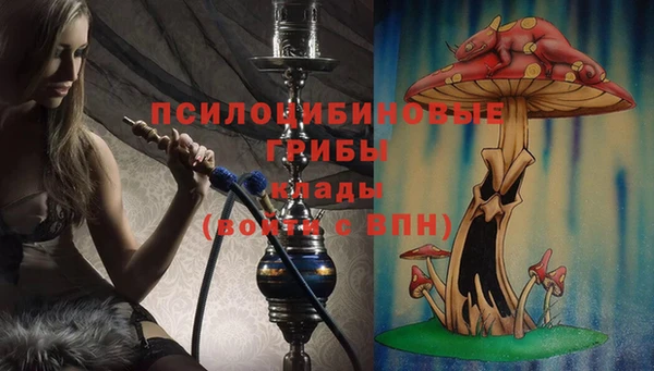 хмурый Армянск