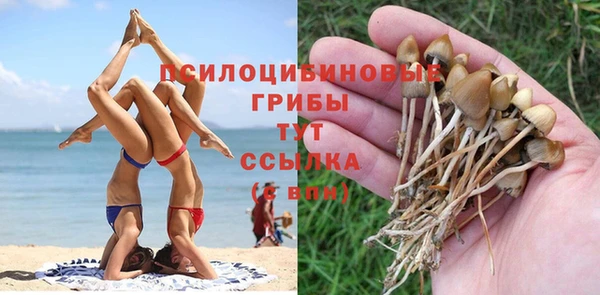марихуана Аркадак
