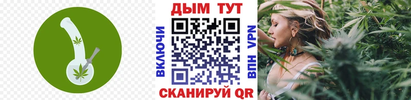 KRAKEN Ростов Каннабис ГИДРОПОН